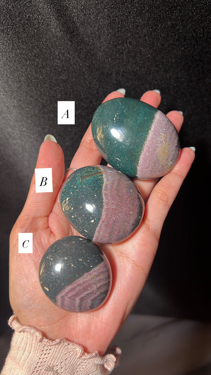Ocean Jasper Palmstone (you pick)