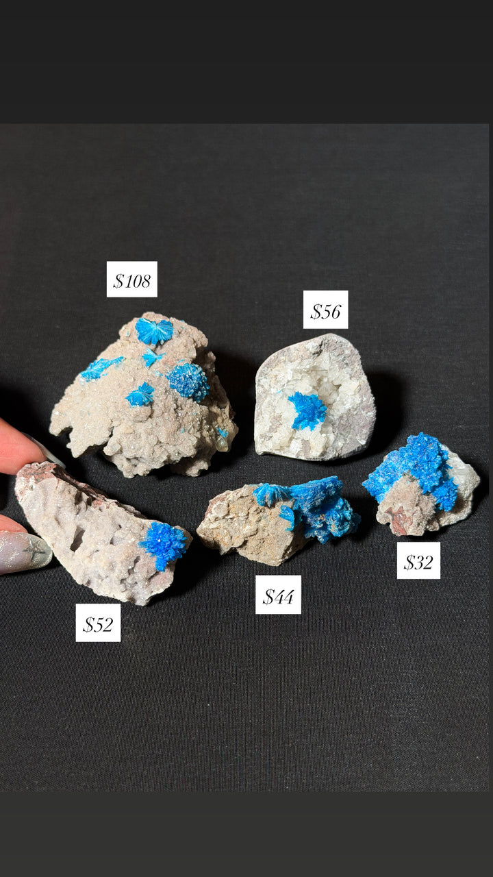 Cavansite Specimen (you pick)