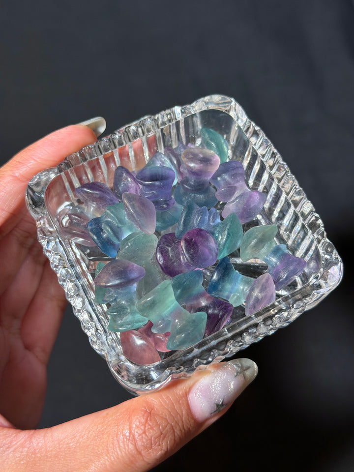 Mini Fluorite Mushroom
