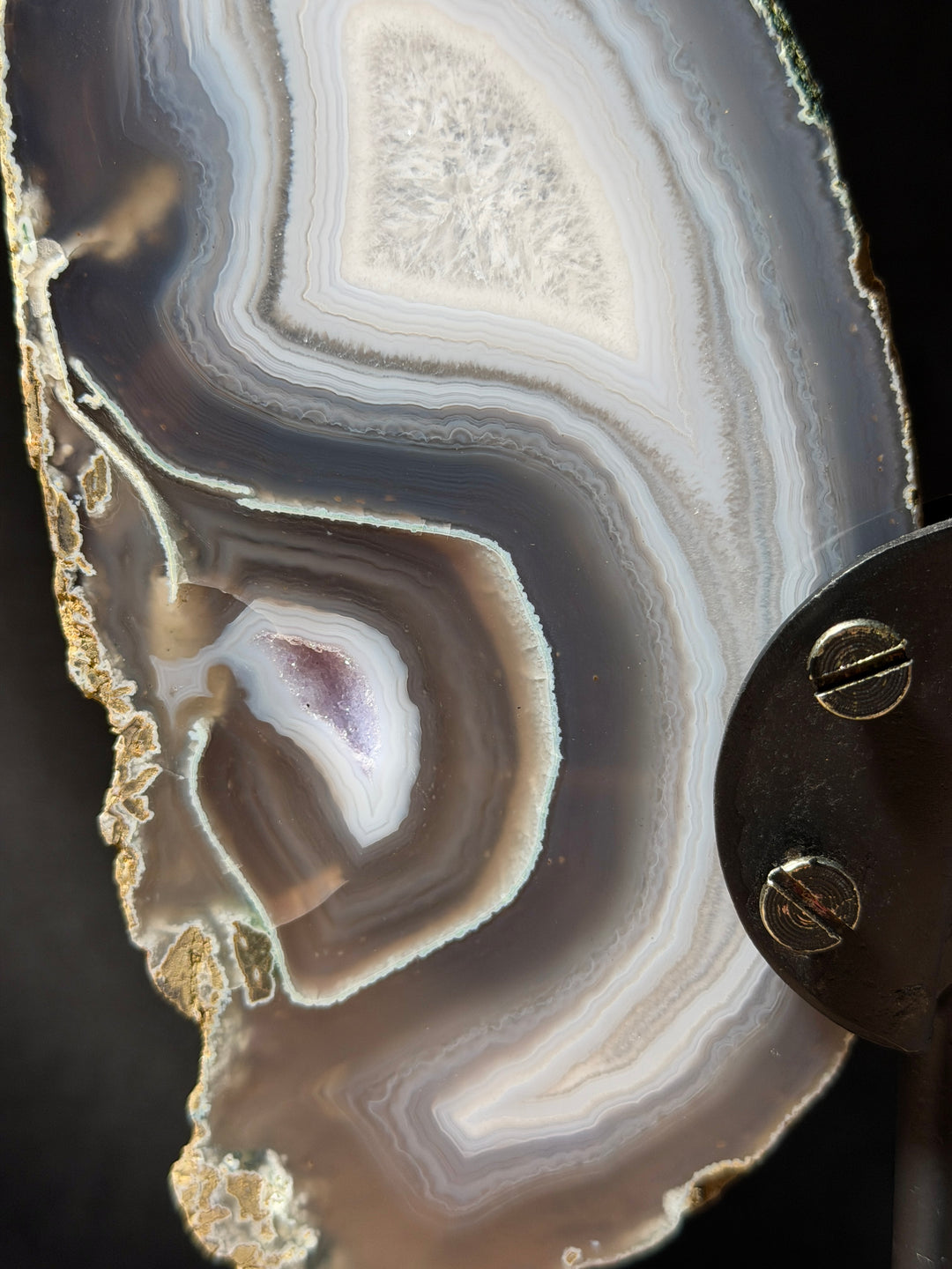 Silvery Blue Butterfly