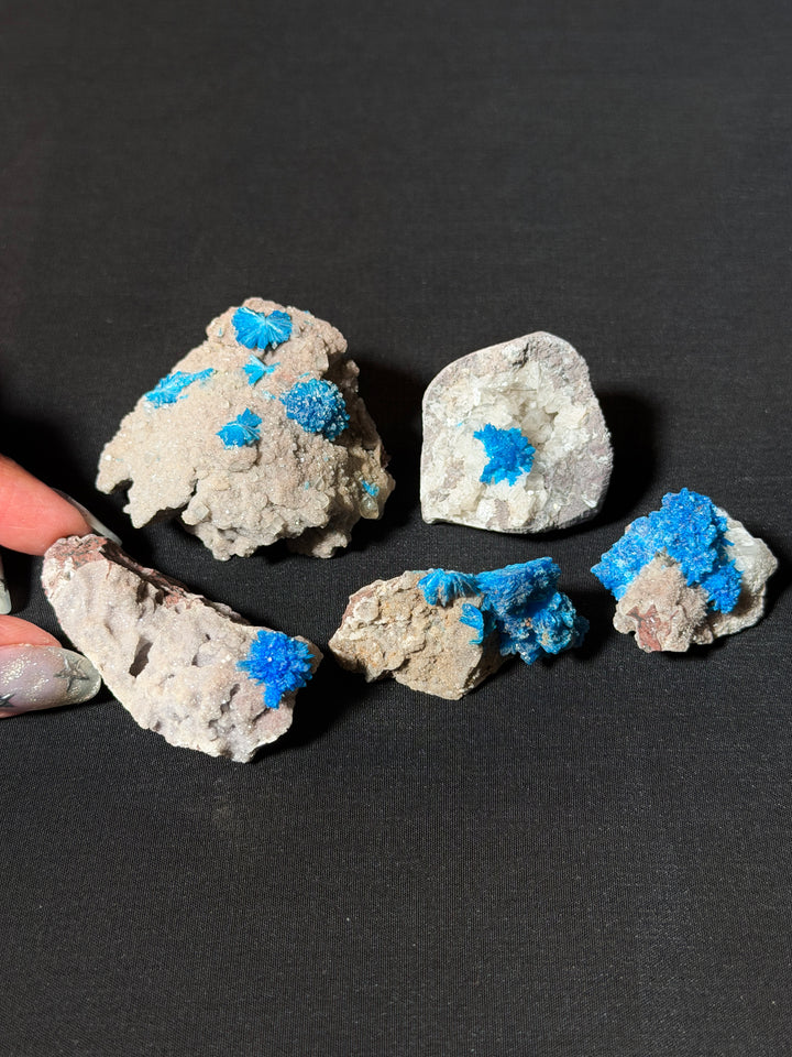 Cavansite Specimen (you pick)