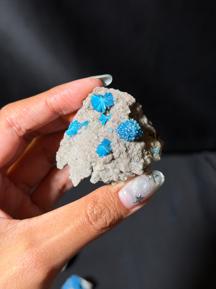 Cavansite Specimen (you pick)