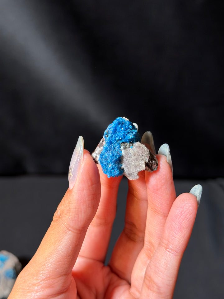 Cavansite Specimen (you pick)