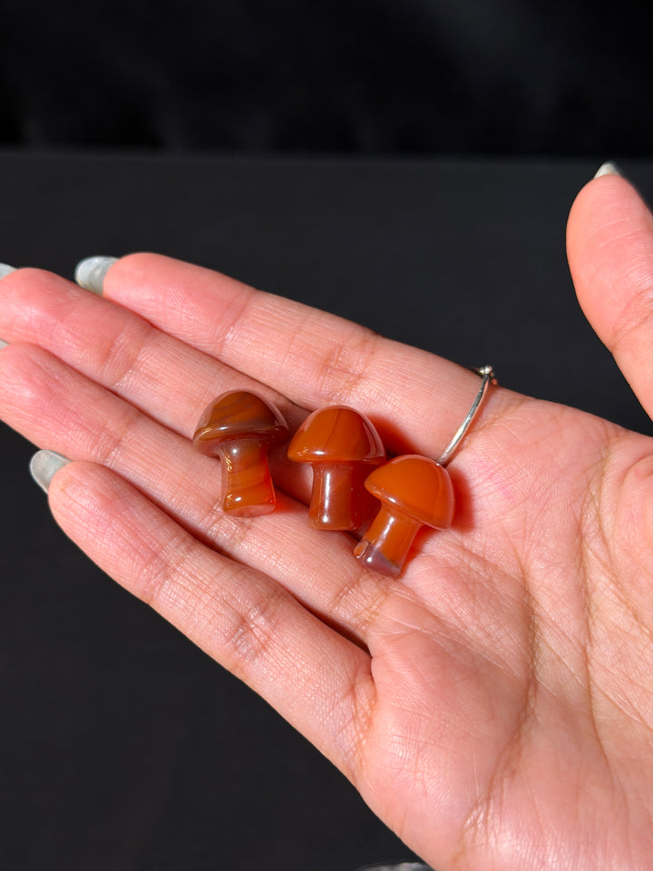Mini Carnelian Mushroom