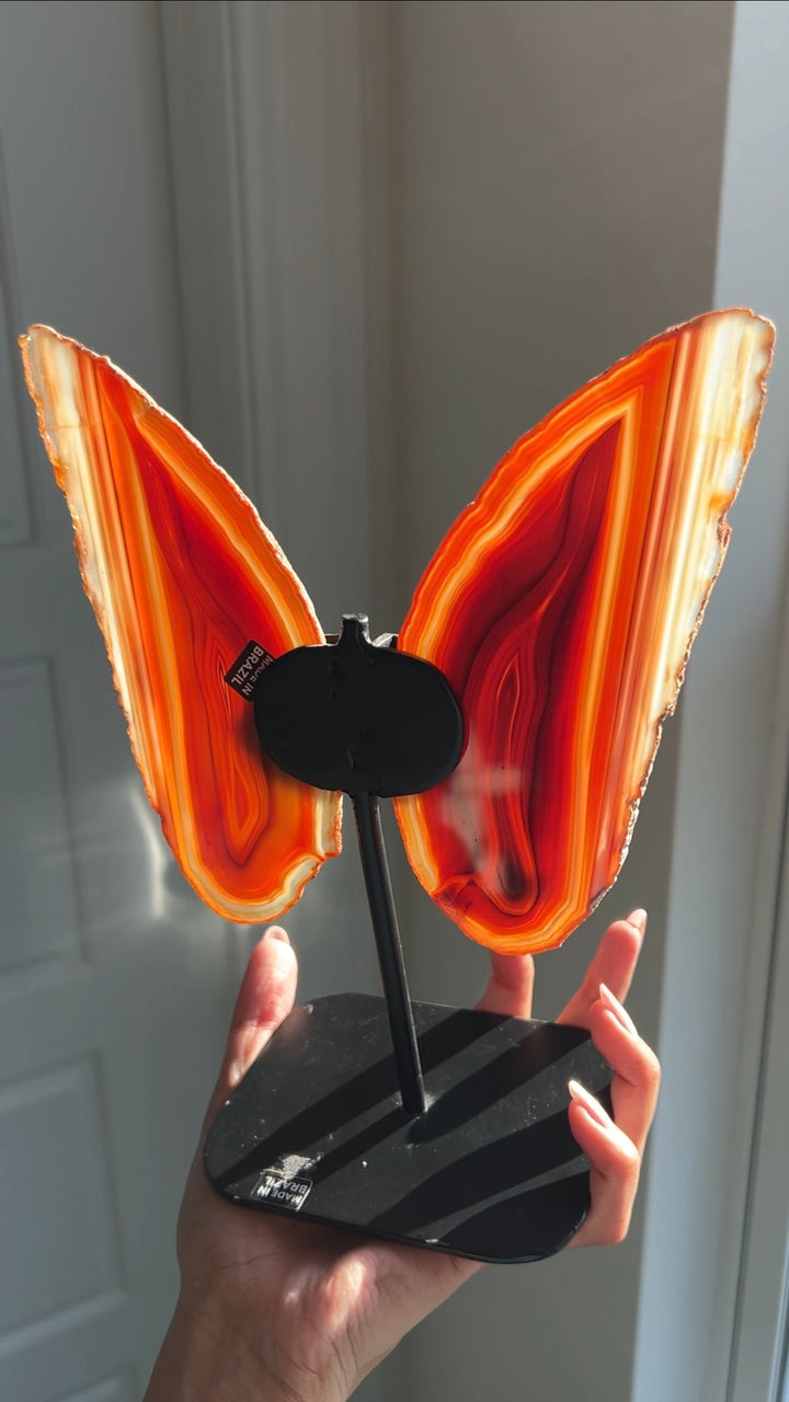 Lava Flow Agate Butterfly