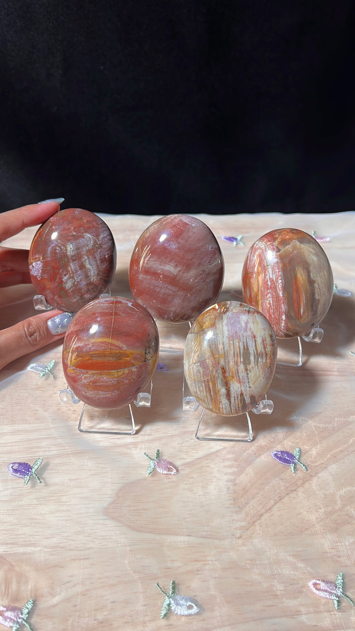 Petrified Wood Palmstones (you pick)