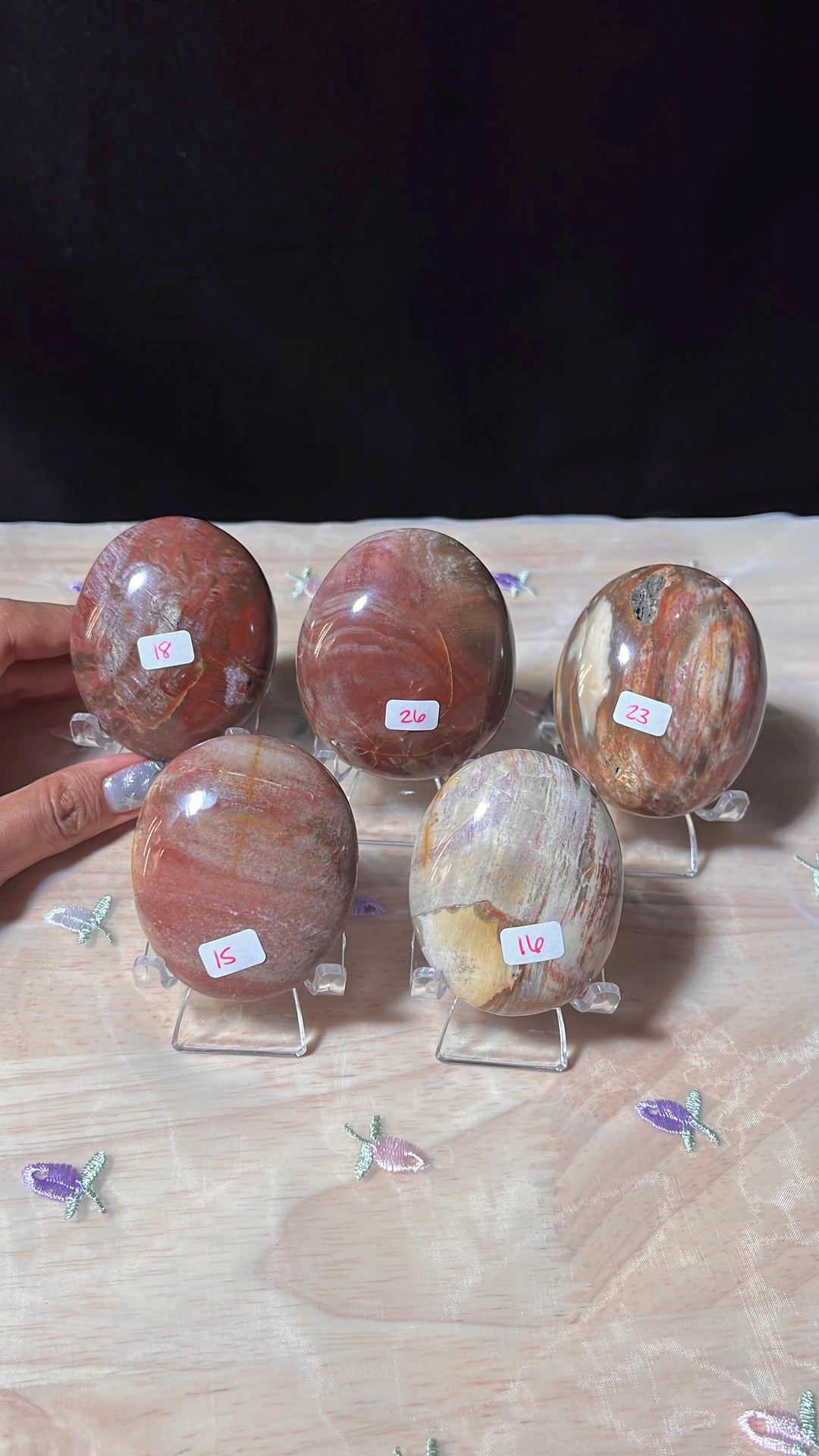 Petrified Wood Palmstones (you pick)