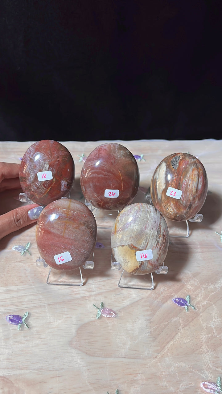Petrified Wood Palmstones (you pick)