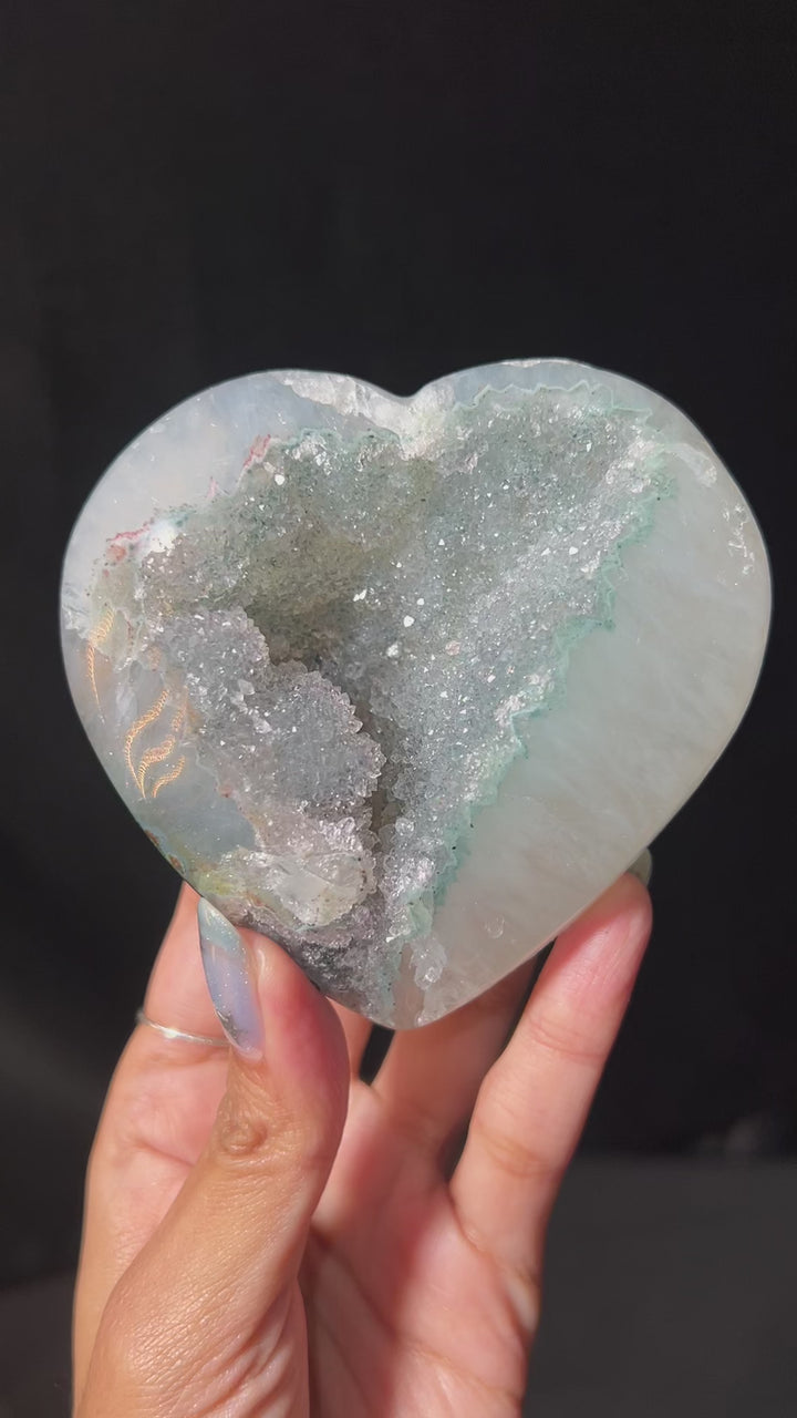 Lily Pad Portal Heart