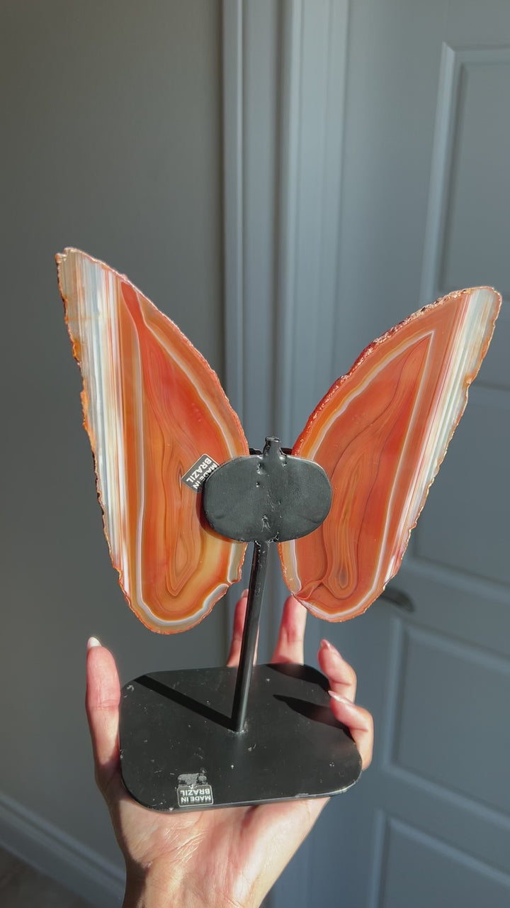 Lava Flow Agate Butterfly
